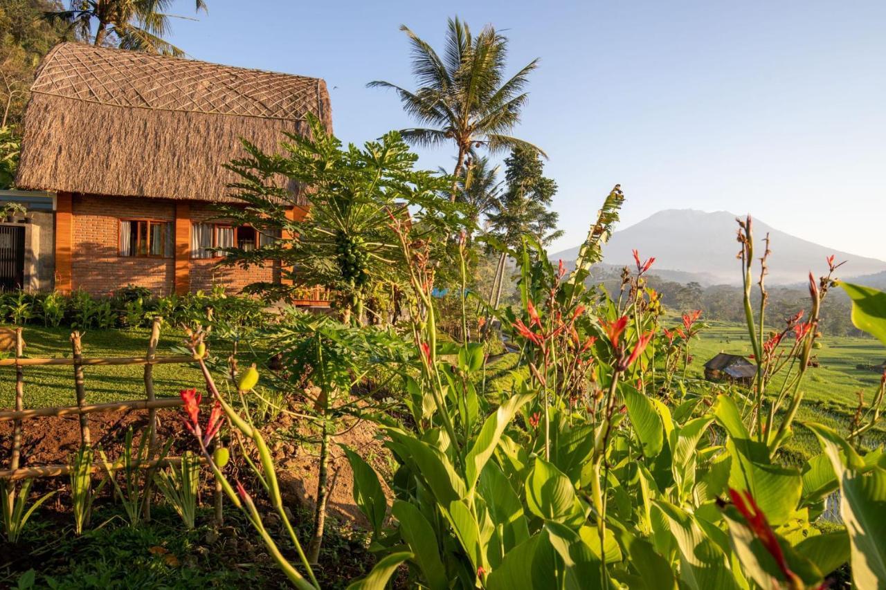 Romantic Barn With Mt. Agung Views Sidemen  Exterior foto